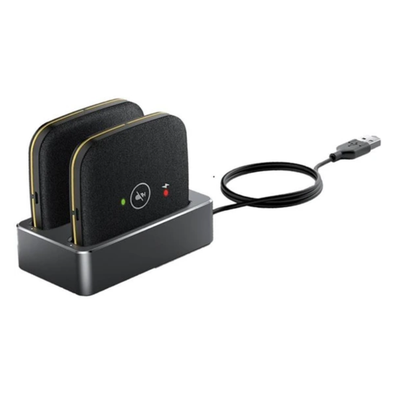 بلندگوی بیسیم یالینک CPW65 Dect Duo